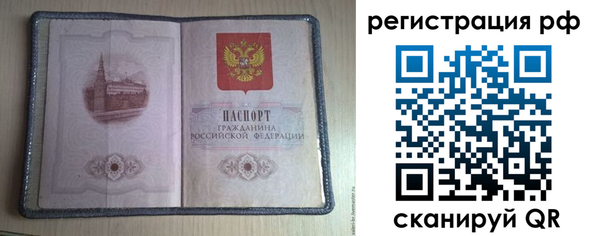 прописка поиск в Тамбовской области